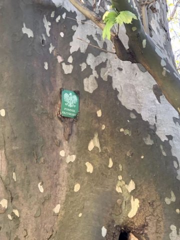 b_1024_768_0_00_images_2022_2023_1-3_Rzeszow_maj_346646809_1674103276365425_4901164119085195085_n